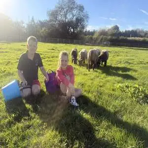 Jack and Elodie at Broom Mill Farm feeding the heep in the sunshine